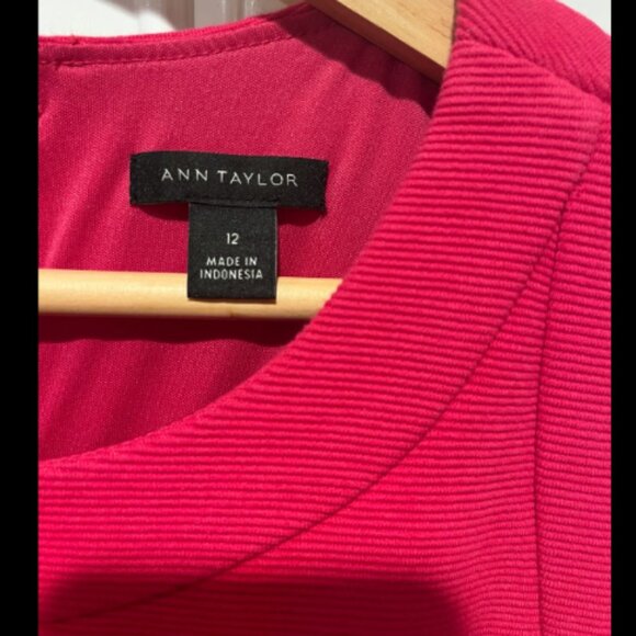 Ann Taylor - Dress (Hot Pink/ Fuschia) - Picture 5 of 5